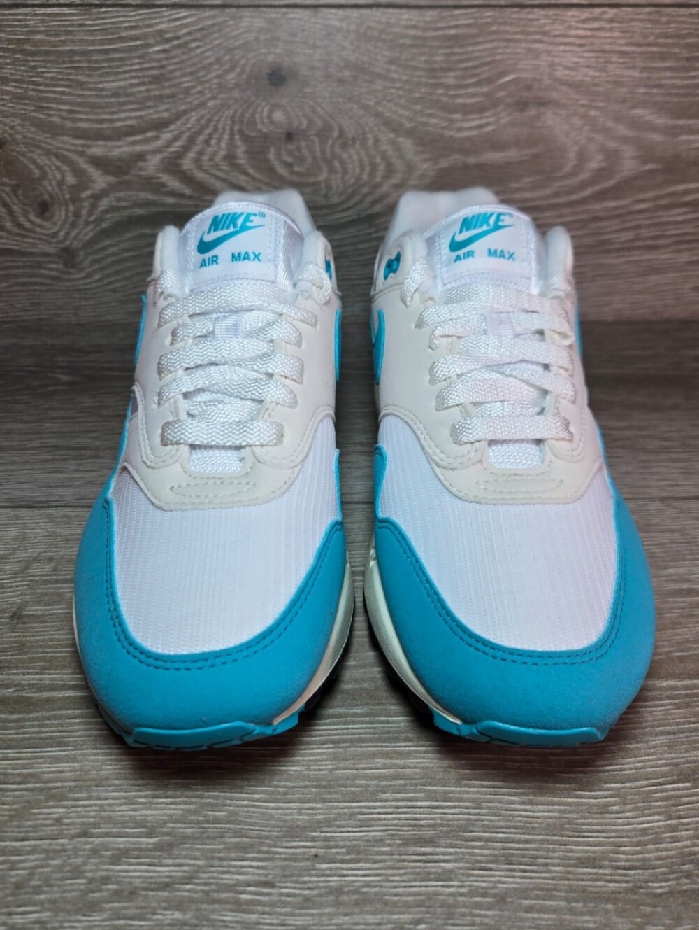 NIKE AIR MAX 1  DUSTY CACTUS